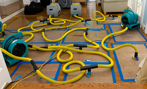 Professional Basement Flood Cleanup technician working in Holland, MA